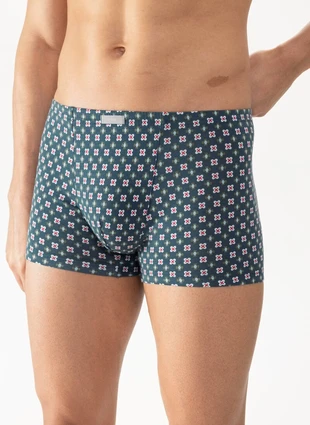 Боксеры из коллекции Gentlemen Geo